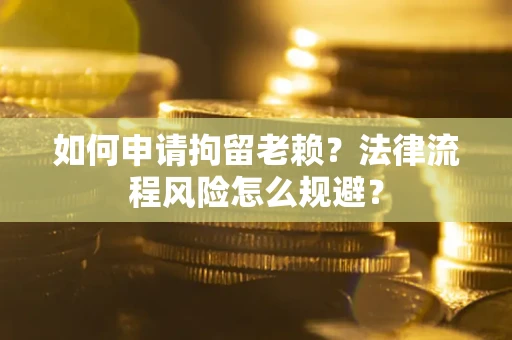 武汉如何申请拘留老赖？法律流程风险怎么规避？