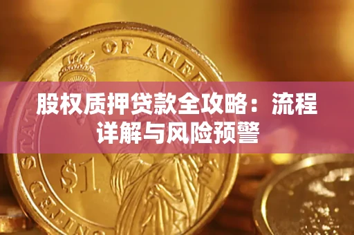 武汉股权质押贷款全攻略：流程详解与风险预警