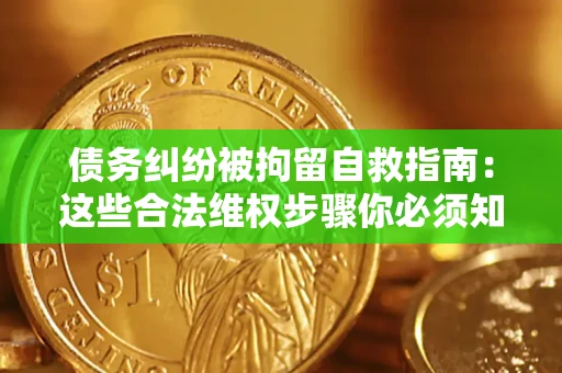 武汉债务纠纷被拘留自救指南：这些合法维权步骤你必须知道！