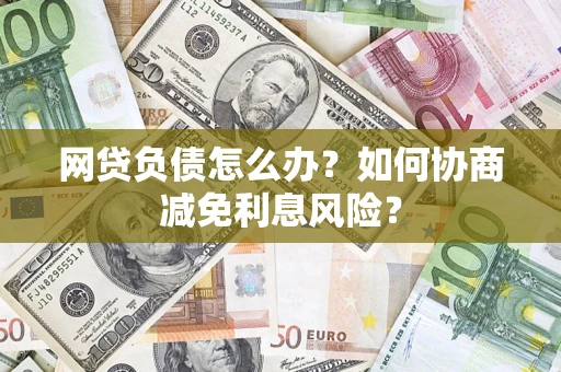 武汉网贷负债怎么办？如何协商减免利息风险？