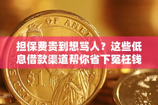 武汉担保费贵到想骂人？这些低息借款渠道帮你省下冤枉钱