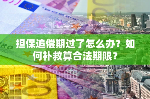 武汉担保追偿期过了怎么办？如何补救算合法期限？