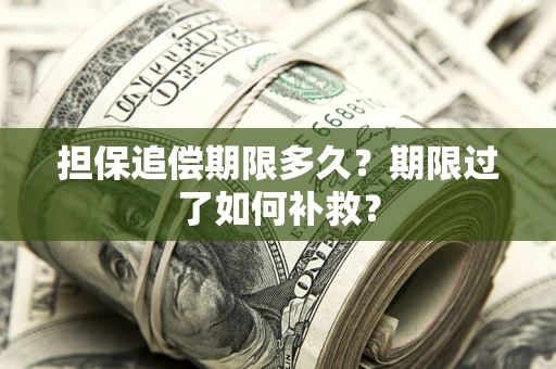 武汉担保追偿期限多久？期限过了如何补救？