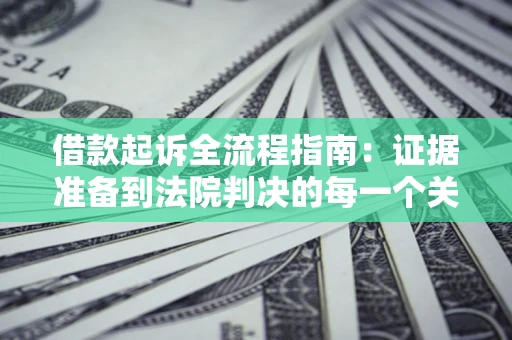 武汉借款起诉全流程指南：证据准备到法院判决的每一个关键步骤