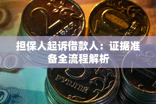 武汉担保人起诉借款人：证据准备全流程解析