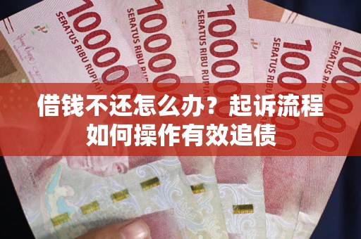 武汉借钱不还怎么办？起诉流程如何操作有效追债