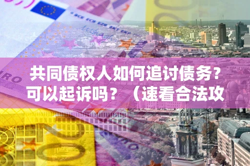 武汉共同债权人如何追讨债务？可以起诉吗？（速看合法攻略）