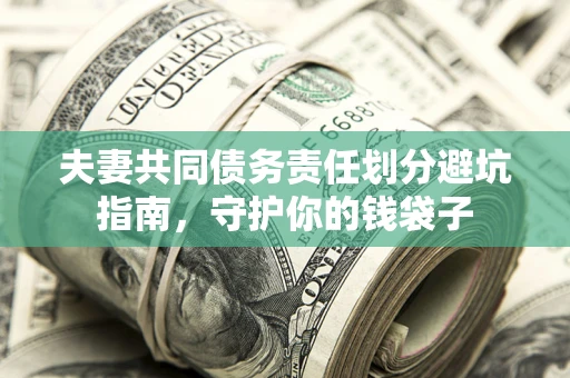 武汉夫妻共同债务责任划分避坑指南，守护你的钱袋子