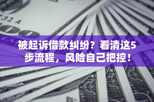 武汉被起诉借款纠纷？看清这5步流程，风险自己把控！
