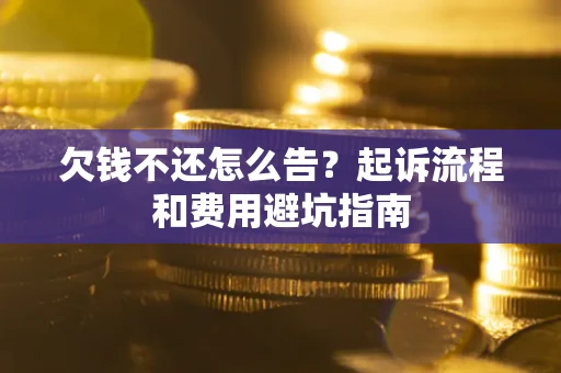 武汉欠钱不还怎么告？起诉流程和费用避坑指南