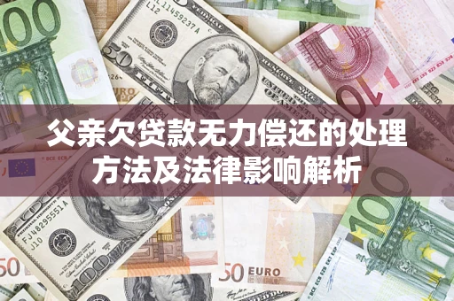 武汉父亲欠贷款无力偿还的处理方法及法律影响解析