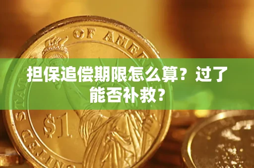 武汉担保追偿期限怎么算？过了能否补救？
